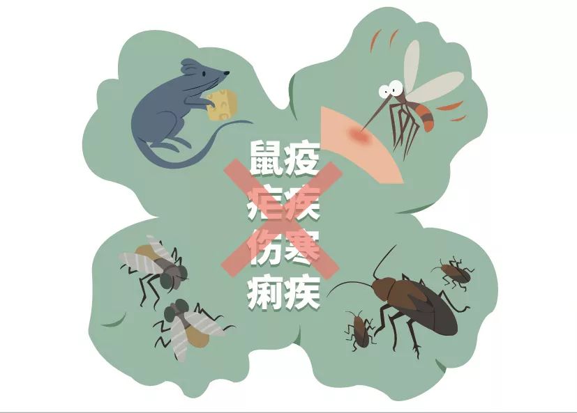 https://mmbiz.qpic.cn/mmbiz_jpg/9NAztLTicrHtVPNticWUwPKw0IvqDZ682DOkzRZpHAn5ZwxXCwsNONEDq9QeY6swgnfHaQOJibmzNibLqia4dgCZ7NQ/640?wx_fmt=jpeg&wxfrom=5&wx_lazy=1&wx_co=1&tp=wxpic