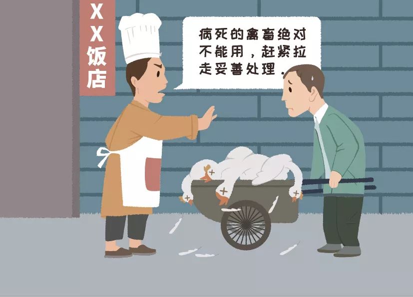 https://mmbiz.qpic.cn/mmbiz_jpg/9NAztLTicrHtVPNticWUwPKw0IvqDZ682DPpKZkeu4l4yic4DYZTBL29iaMBUdmKOJicLBmZ0SJtrhRkOz0wZwx6JjA/640?wx_fmt=jpeg&wxfrom=5&wx_lazy=1&wx_co=1&tp=wxpic
