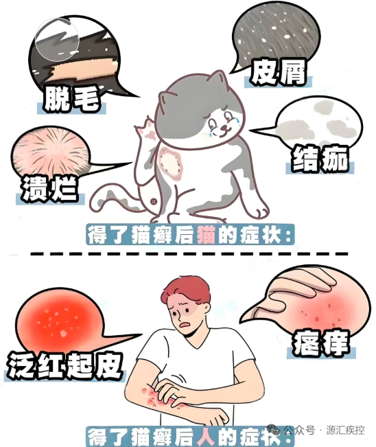 lQLPJxwDNrjYehXNAovNAiSwokv4a84QhK0Iw495mXfUAA_548_651