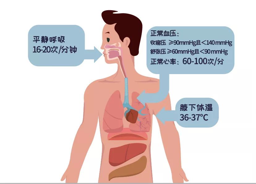 https://mmbiz.qpic.cn/mmbiz_jpg/9NAztLTicrHtVPNticWUwPKw0IvqDZ682DyxOXS5VBQiaE6d8uTArl1FnHfgyEpX4h2PH3zuknUxHPlXuLvEEdKtw/640?wx_fmt=jpeg&wxfrom=5&wx_lazy=1&wx_co=1&tp=wxpic